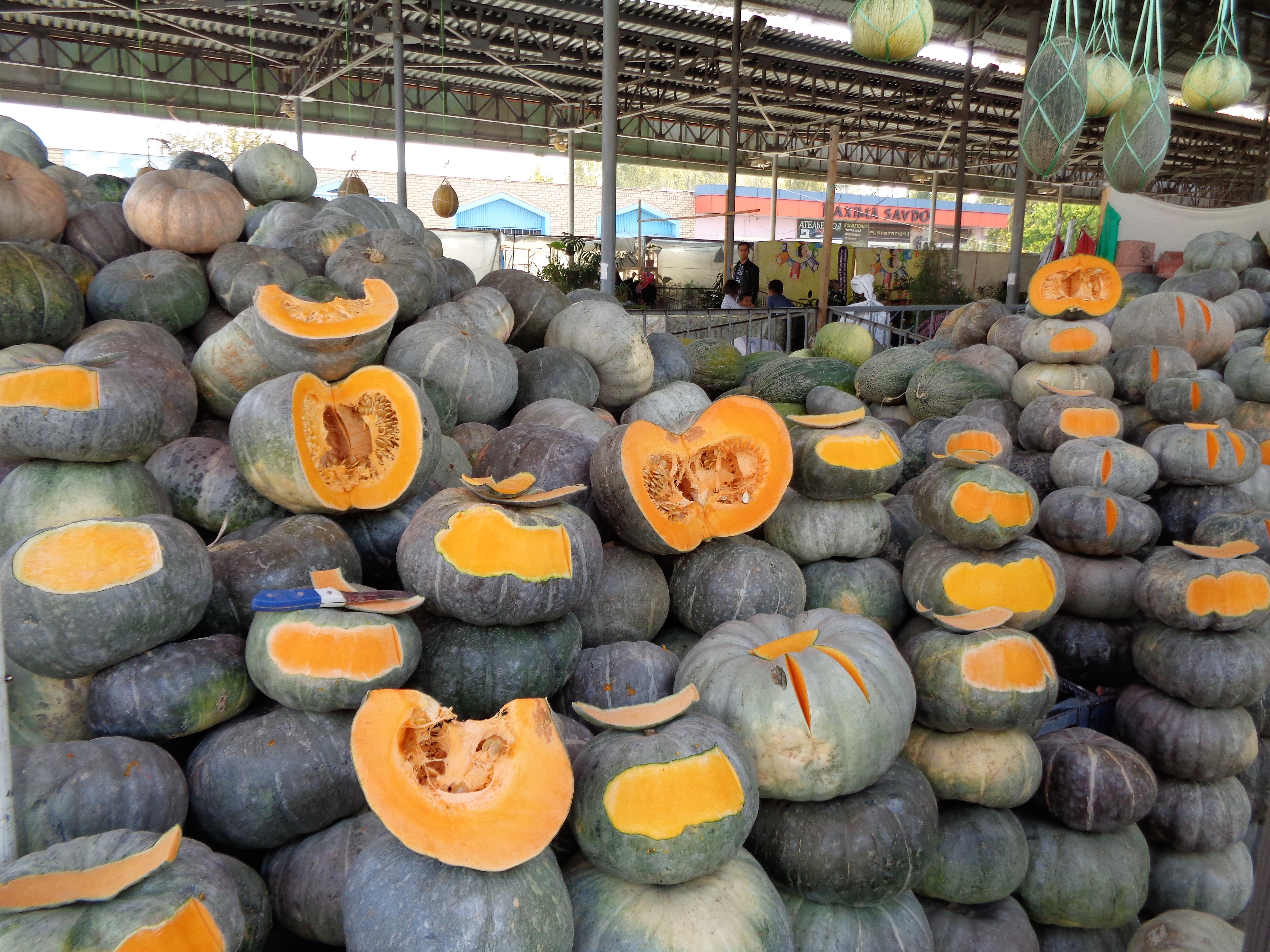 Large_pumpkins